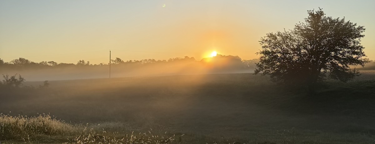 Sunrise over a pasture at Twisted Oaks