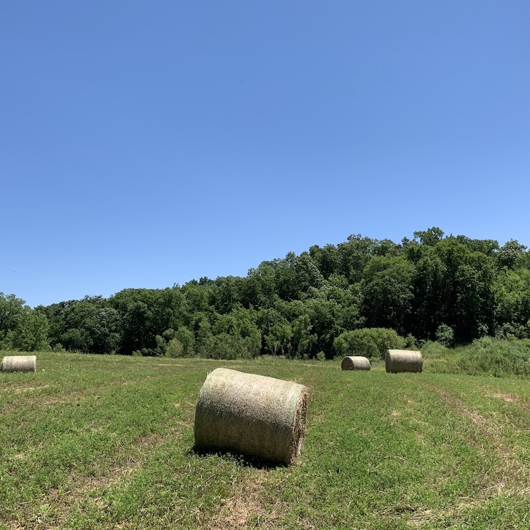 fresh baled hay