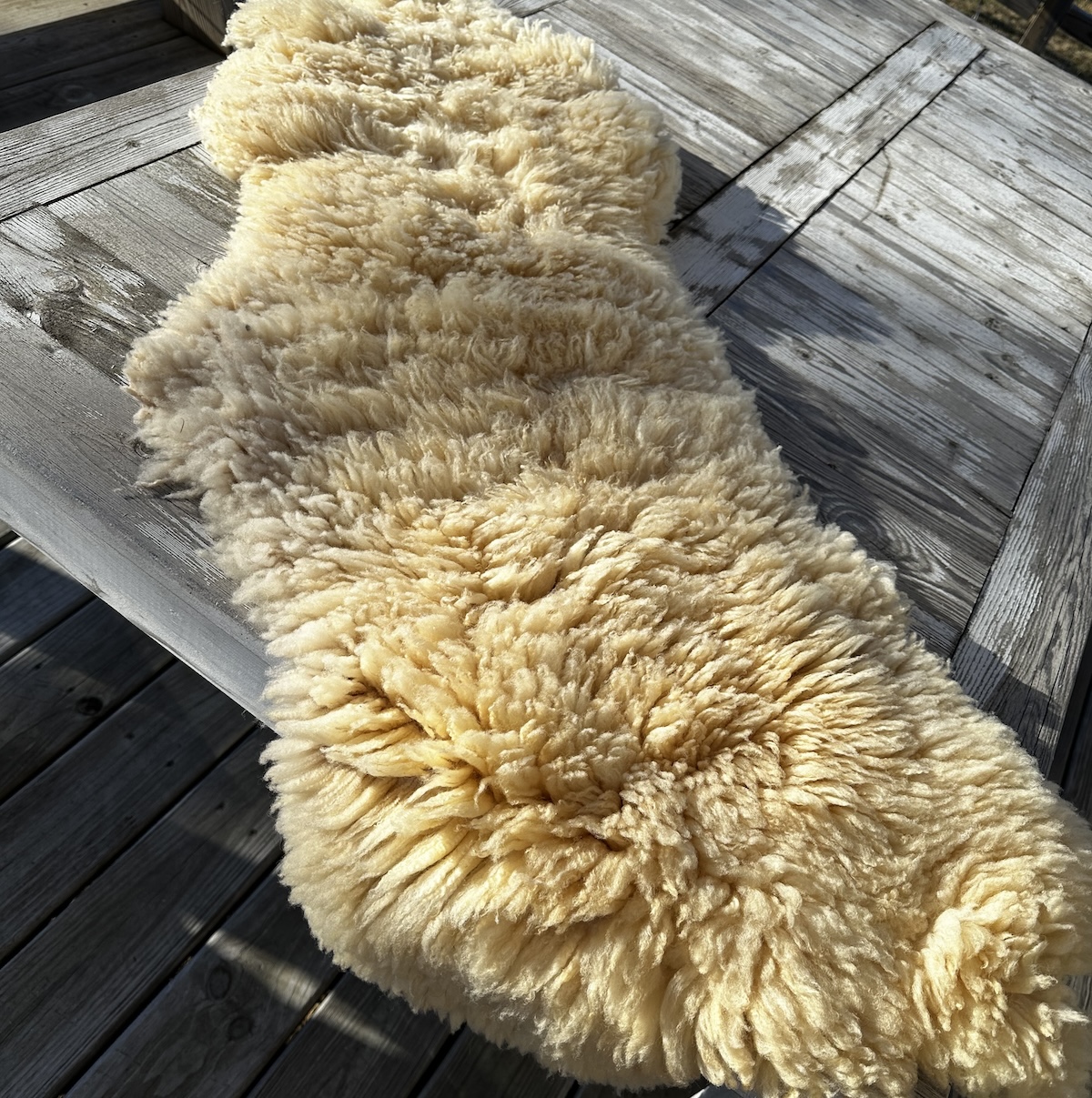 Twisted Oaks, Corriedale Naturally Tanned Sheepskin